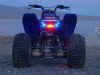 quad.jpg (21320 bytes)